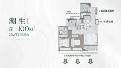 审核通事后签定《认购书